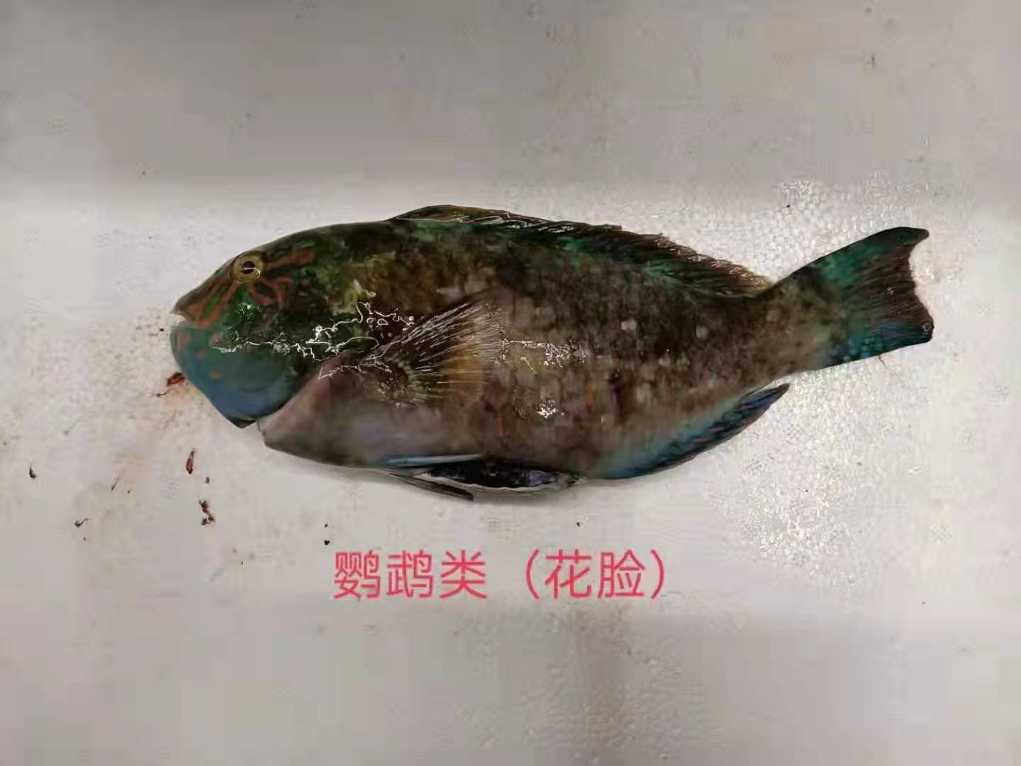 花脸